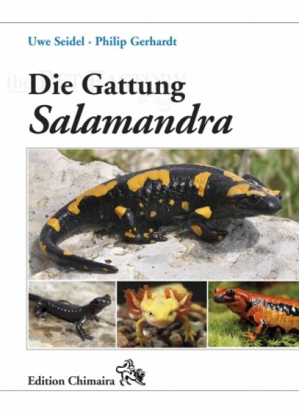 Die Gattung Salamandra - Geschichte, Biologie, Systematik, Zucht